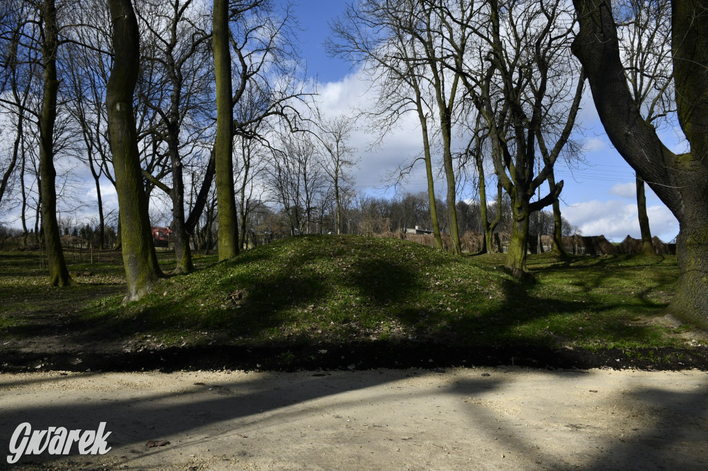 Wiosenny spacer w parku Donnersmarcków [FOTO]