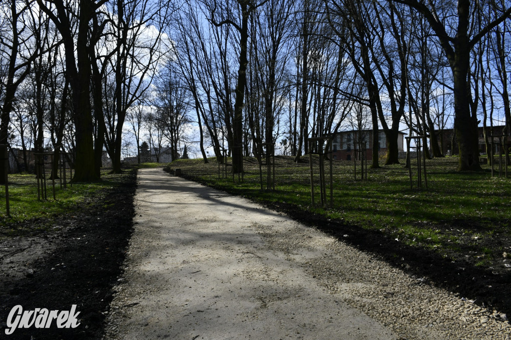 Wiosenny spacer w parku Donnersmarcków [FOTO]