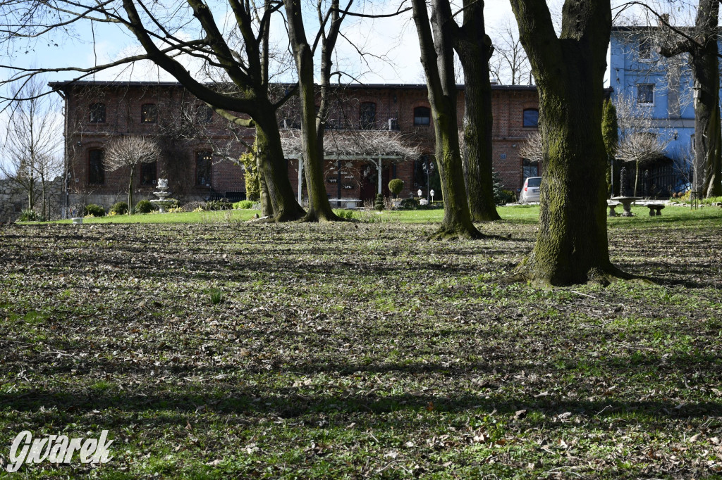 Wiosenny spacer w parku Donnersmarcków [FOTO]