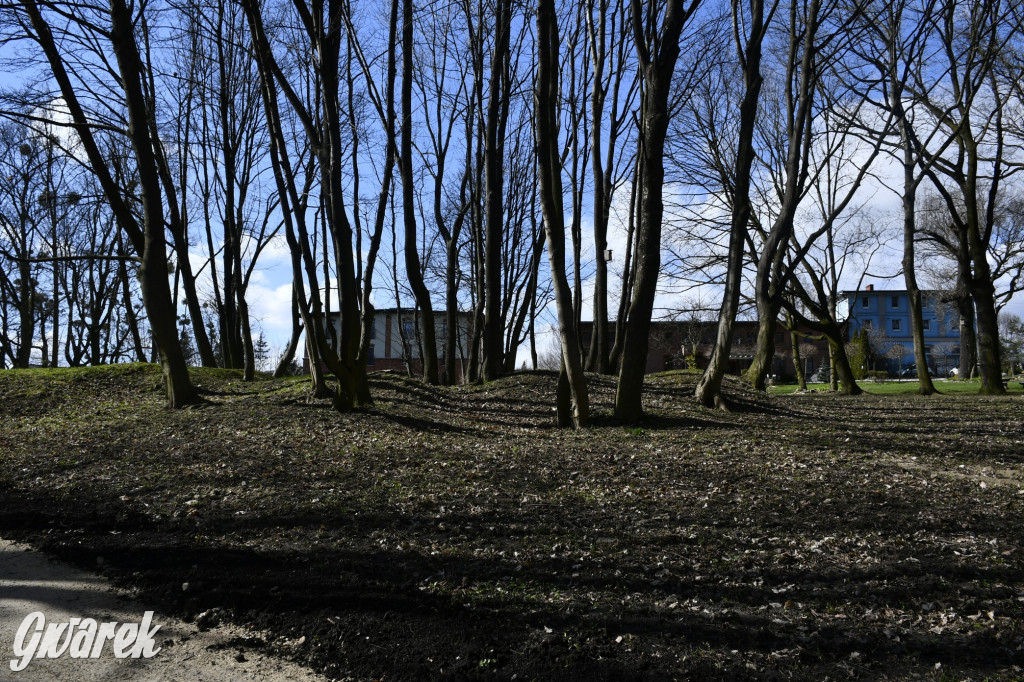 Wiosenny spacer w parku Donnersmarcków [FOTO]