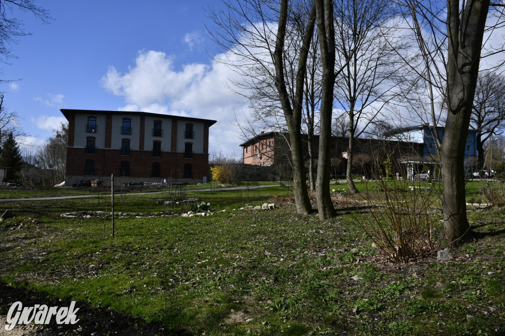 Wiosenny spacer w parku Donnersmarcków [FOTO]