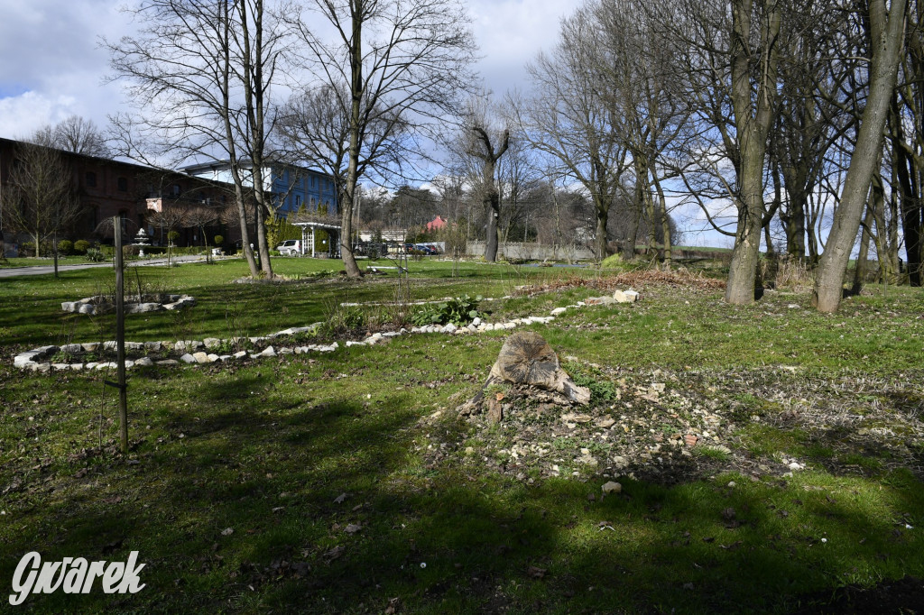 Wiosenny spacer w parku Donnersmarcków [FOTO]