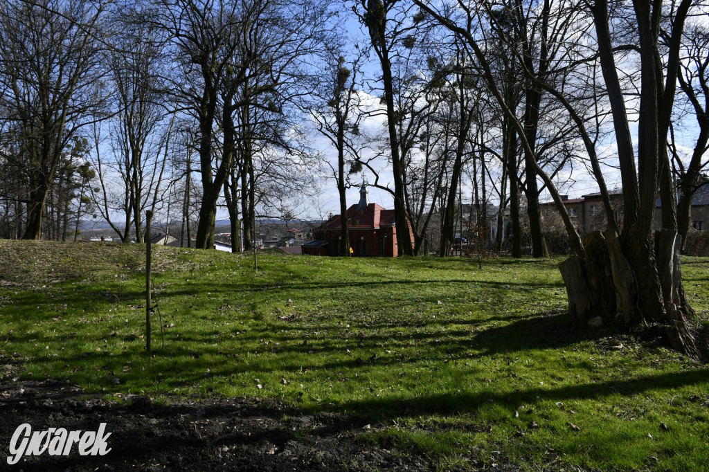 Wiosenny spacer w parku Donnersmarcków [FOTO]