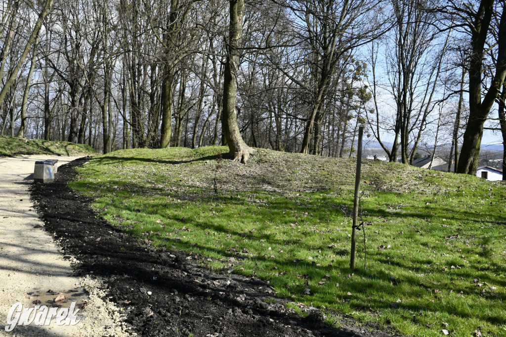 Wiosenny spacer w parku Donnersmarcków [FOTO]