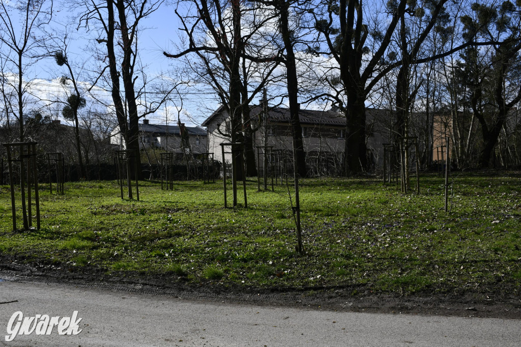 Wiosenny spacer w parku Donnersmarcków [FOTO]