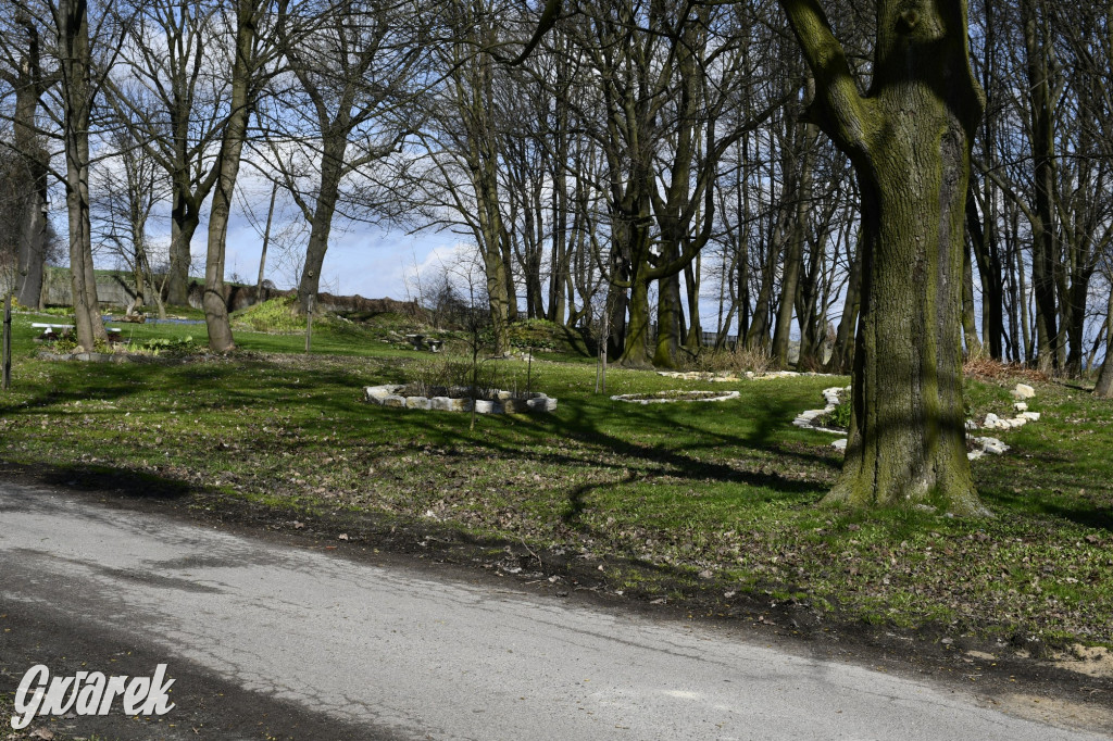 Wiosenny spacer w parku Donnersmarcków [FOTO]