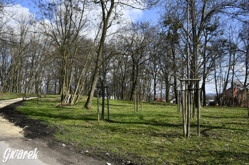 Wiosenny spacer w parku Donnersmarcków [FOTO]