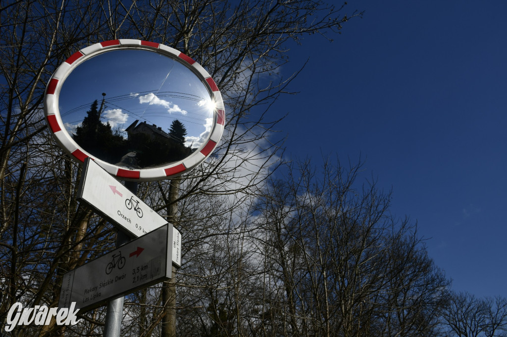 Wiosenny spacer w parku Donnersmarcków [FOTO]