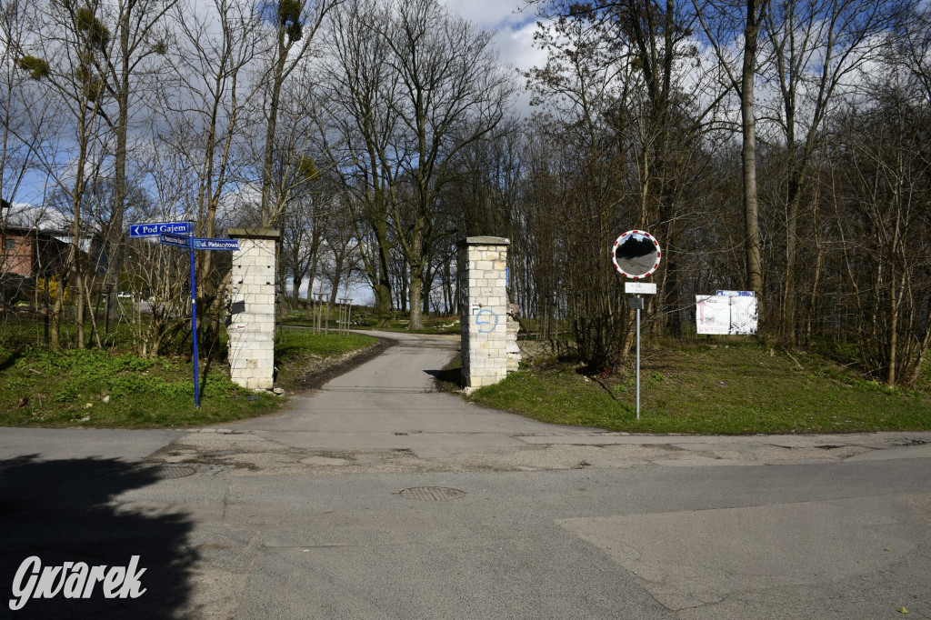 Wiosenny spacer w parku Donnersmarcków [FOTO]