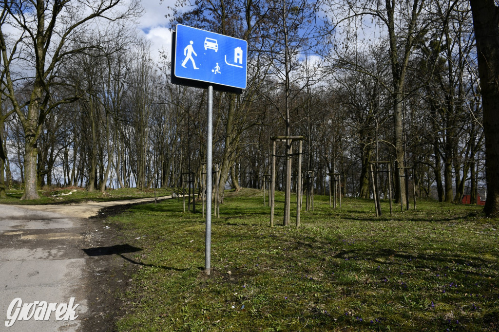 Wiosenny spacer w parku Donnersmarcków [FOTO]