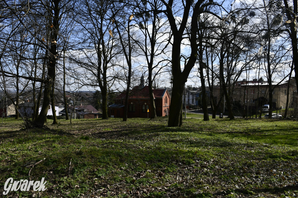 Wiosenny spacer w parku Donnersmarcków [FOTO]