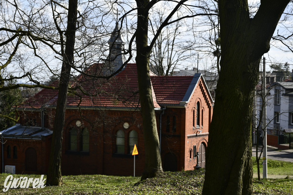 Wiosenny spacer w parku Donnersmarcków [FOTO]