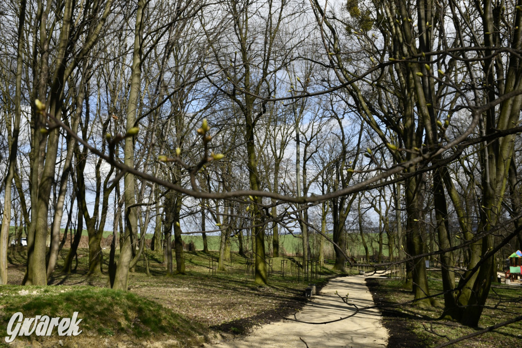 Wiosenny spacer w parku Donnersmarcków [FOTO]