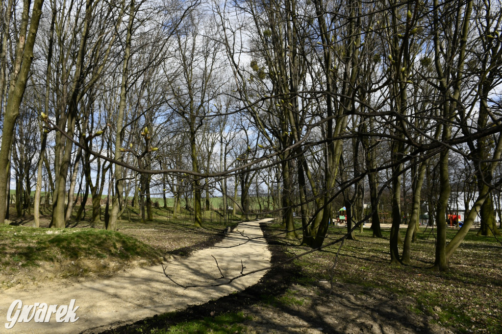 Wiosenny spacer w parku Donnersmarcków [FOTO]
