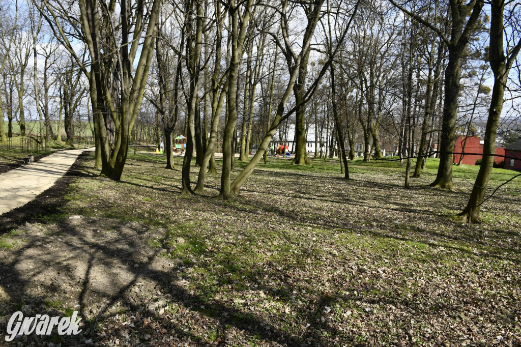 Wiosenny spacer w parku Donnersmarcków [FOTO]
