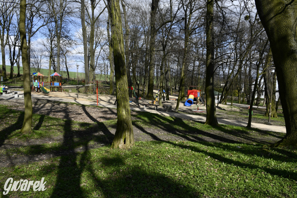 Wiosenny spacer w parku Donnersmarcków [FOTO]