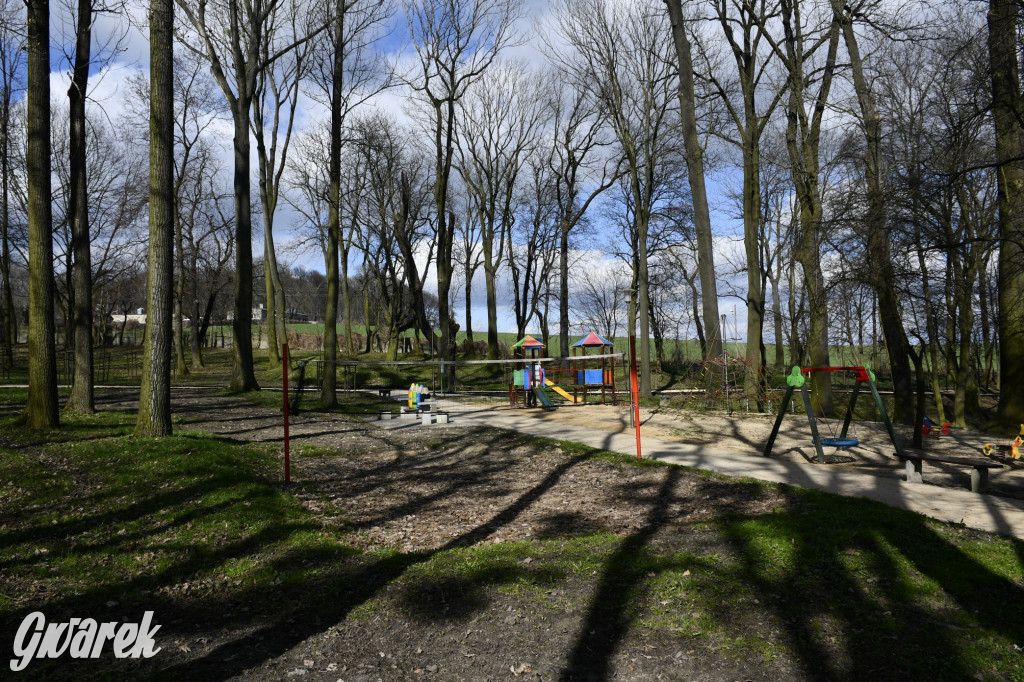 Wiosenny spacer w parku Donnersmarcków [FOTO]