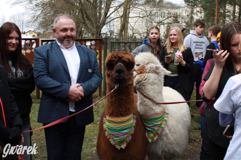 Tarnowskie Góry. Szkoły zabiegają o absolwentów [FOTO]