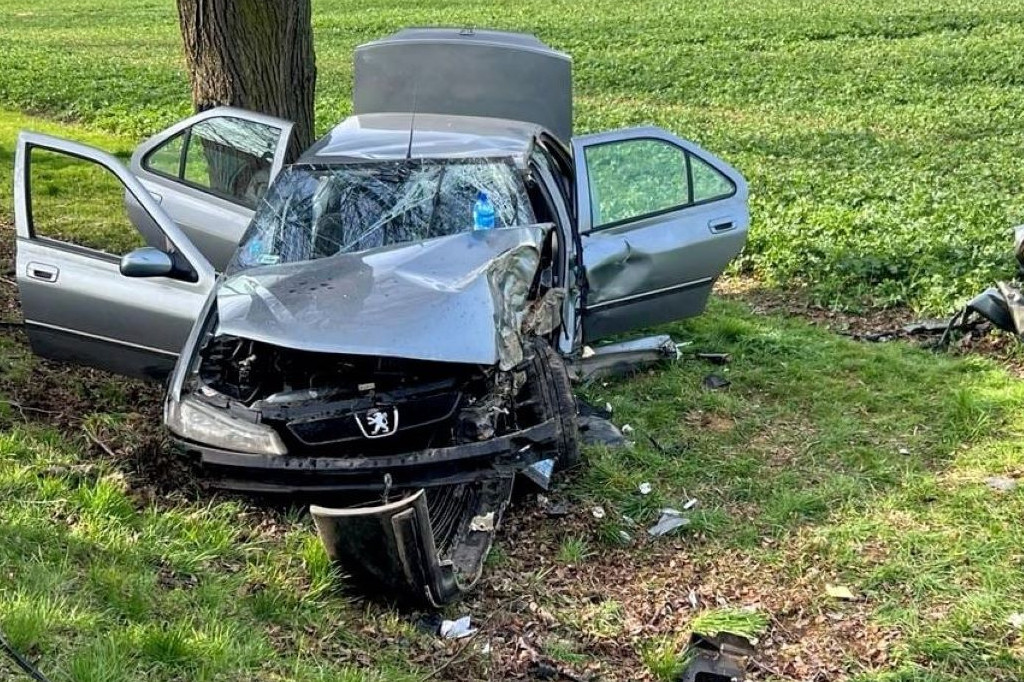 Próbował wyprzedzić, uderzył w drzewo