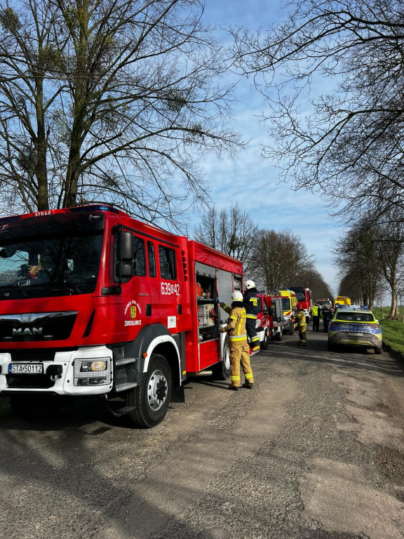 Próbował wyprzedzić, uderzył w drzewo