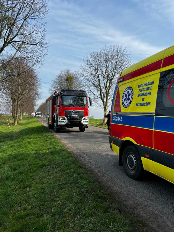 Próbował wyprzedzić, uderzył w drzewo