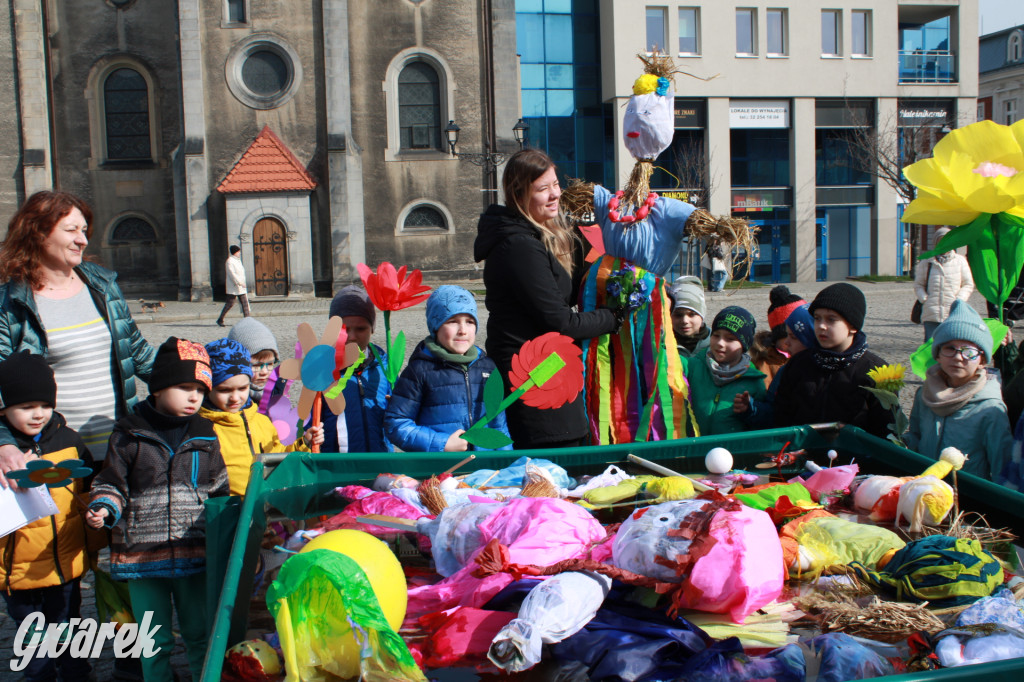 Tarnowskie Góry. Topili marzanny w basenie [FOTO]