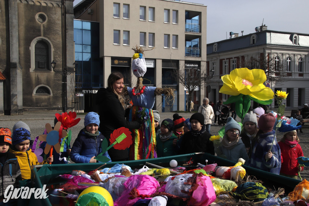 Tarnowskie Góry. Topili marzanny w basenie [FOTO]