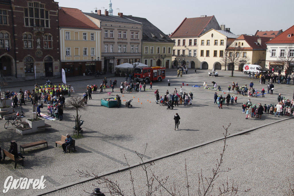 Tarnowskie Góry. Topili marzanny w basenie [FOTO]