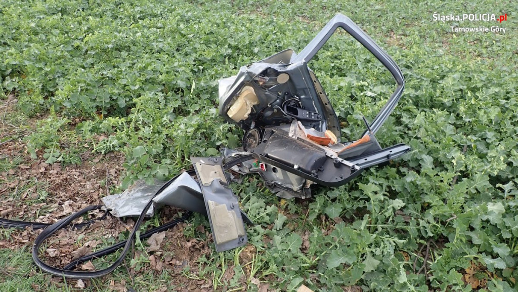 Próbował wyprzedzić, uderzył w drzewo