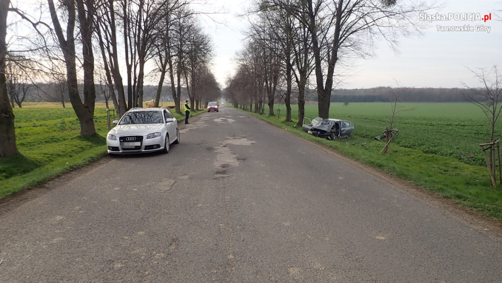 Próbował wyprzedzić, uderzył w drzewo
