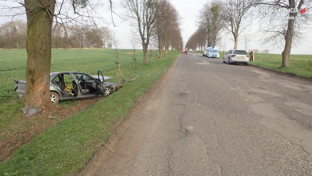 Próbował wyprzedzić, uderzył w drzewo