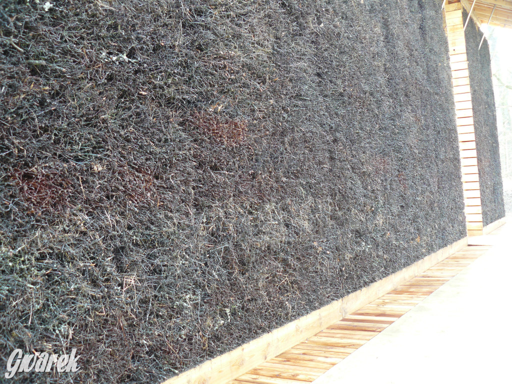 Tarnowskie Góry, Otwarcie tężni przy GCR Repty