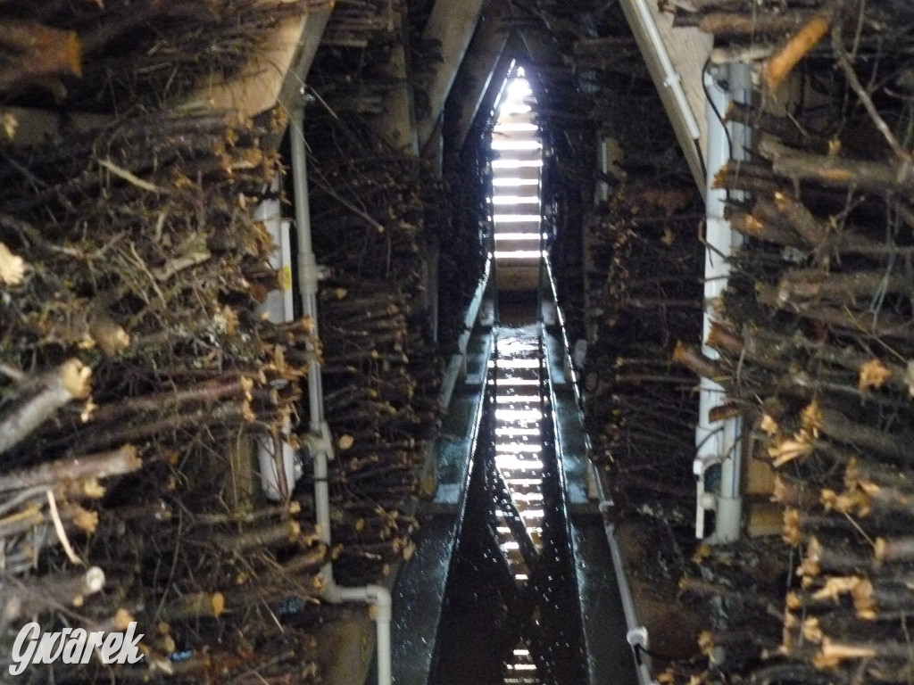 Tarnowskie Góry, Otwarcie tężni przy GCR Repty