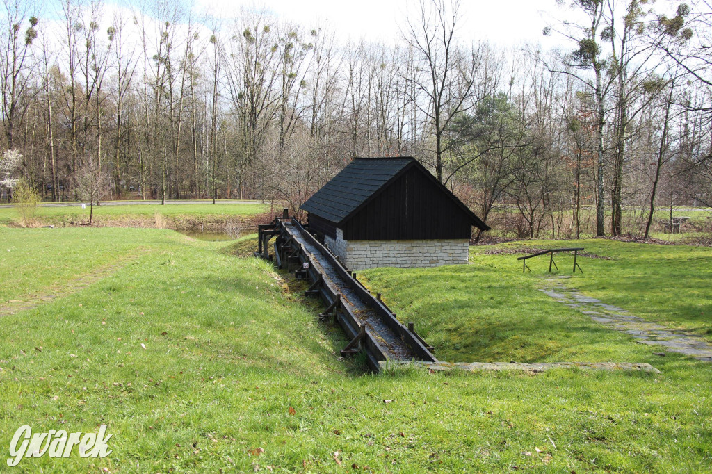 Wielkanoc w śląskim skansenie, procesja z palmami [GALERIA]