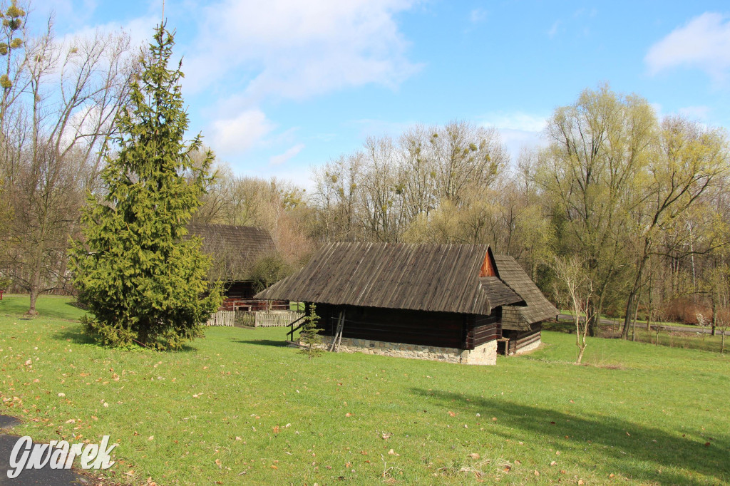 Wielkanoc w śląskim skansenie, procesja z palmami [GALERIA]