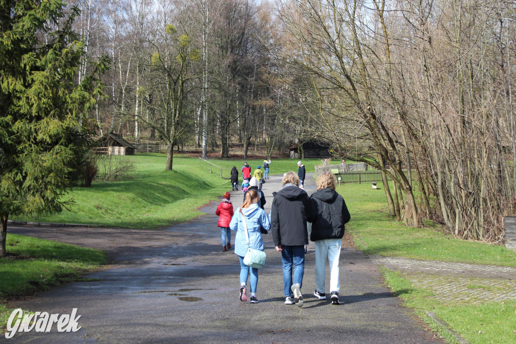 Wielkanoc w śląskim skansenie, procesja z palmami [GALERIA]