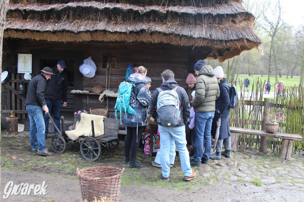 Wielkanoc w śląskim skansenie, procesja z palmami [GALERIA]