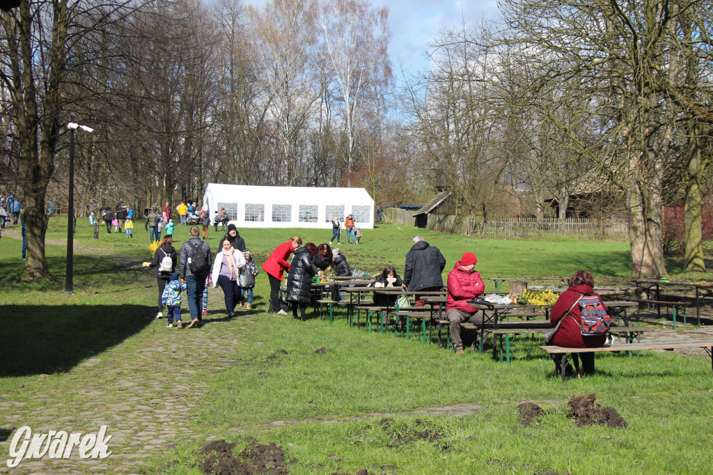 Wielkanoc w śląskim skansenie, procesja z palmami [GALERIA]