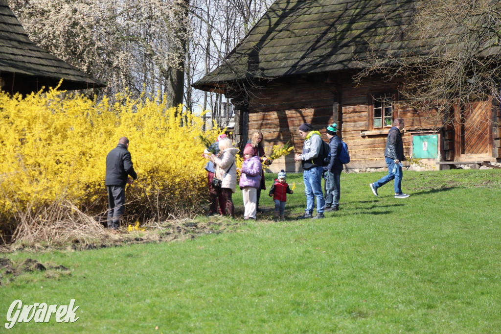 Wielkanoc w śląskim skansenie, procesja z palmami [GALERIA]