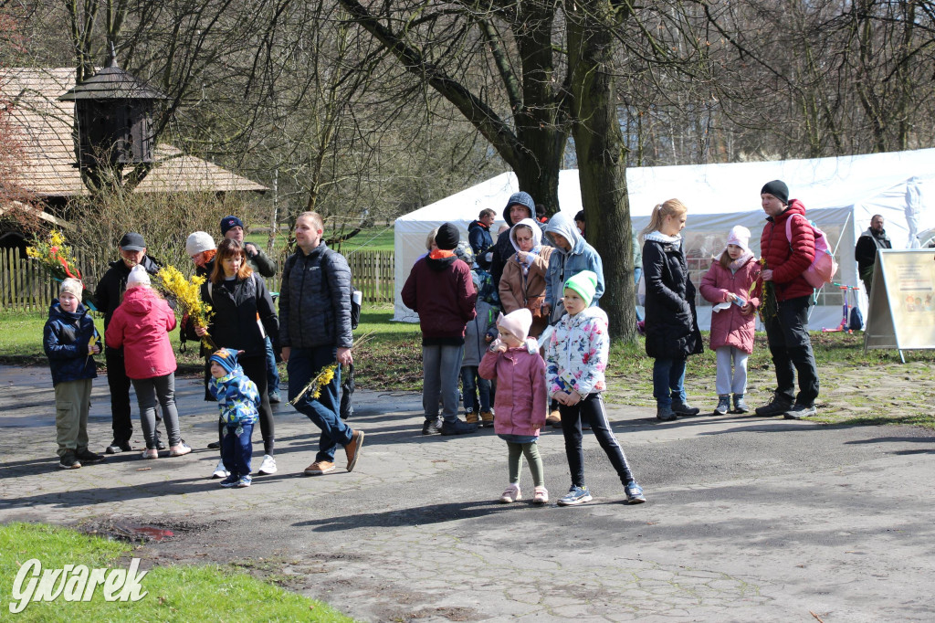 Wielkanoc w śląskim skansenie, procesja z palmami [GALERIA]