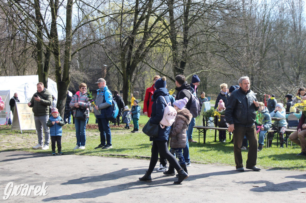 Wielkanoc w śląskim skansenie, procesja z palmami [GALERIA]