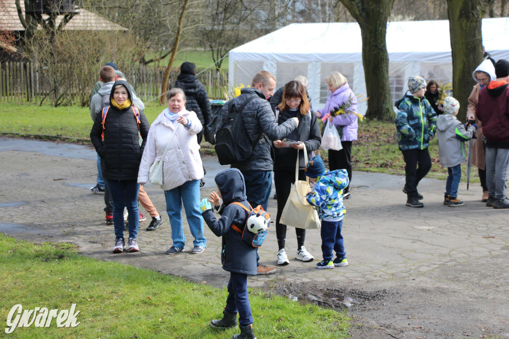 Wielkanoc w śląskim skansenie, procesja z palmami [GALERIA]