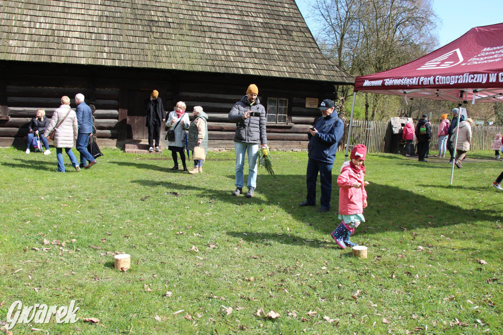 Wielkanoc w śląskim skansenie, procesja z palmami [GALERIA]