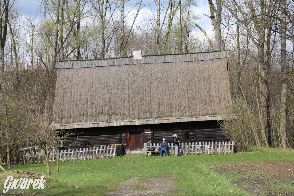 Wielkanoc w śląskim skansenie, procesja z palmami [GALERIA]