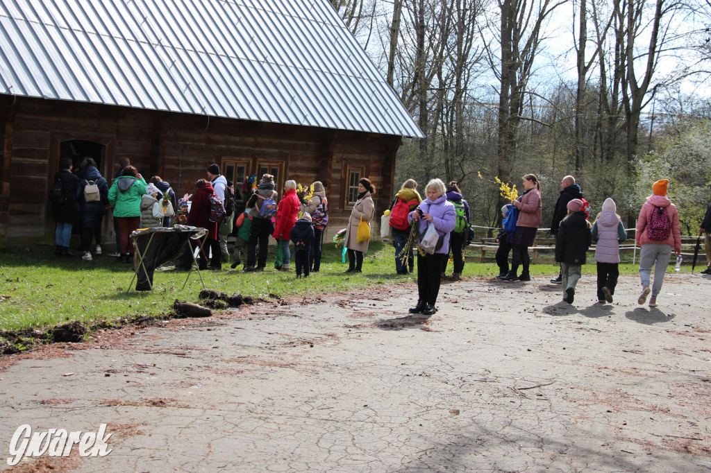 Wielkanoc w śląskim skansenie, procesja z palmami [GALERIA]