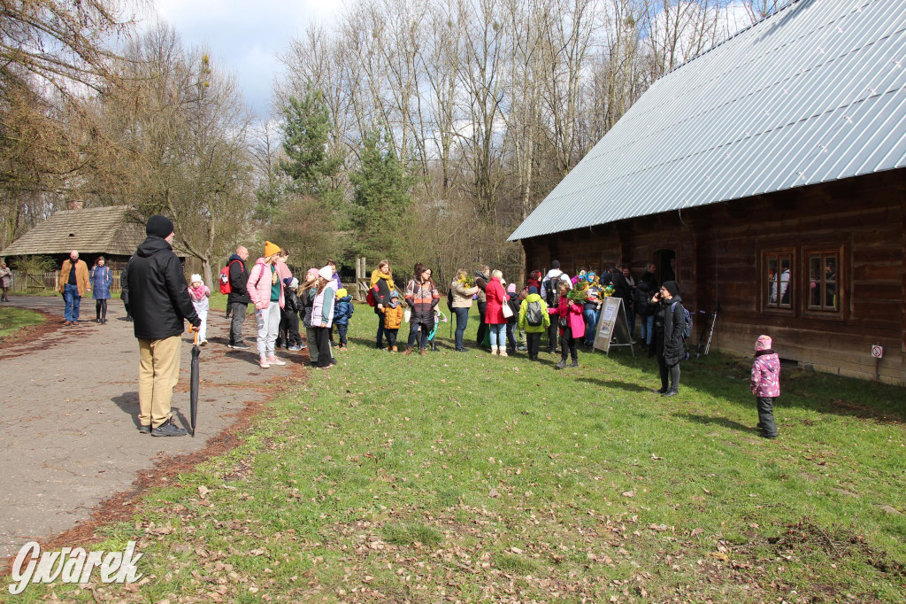 Wielkanoc w śląskim skansenie, procesja z palmami [GALERIA]