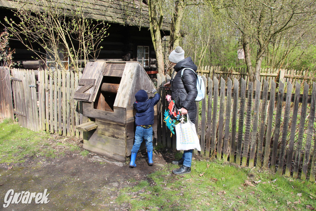 Wielkanoc w śląskim skansenie, procesja z palmami [GALERIA]