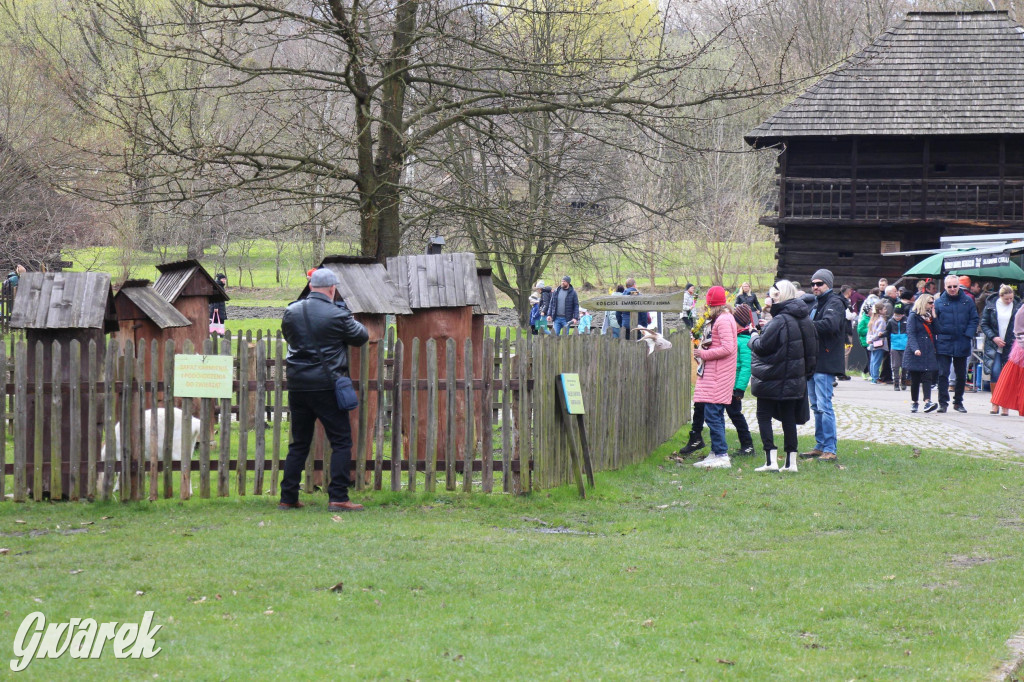 Wielkanoc w śląskim skansenie, procesja z palmami [GALERIA]