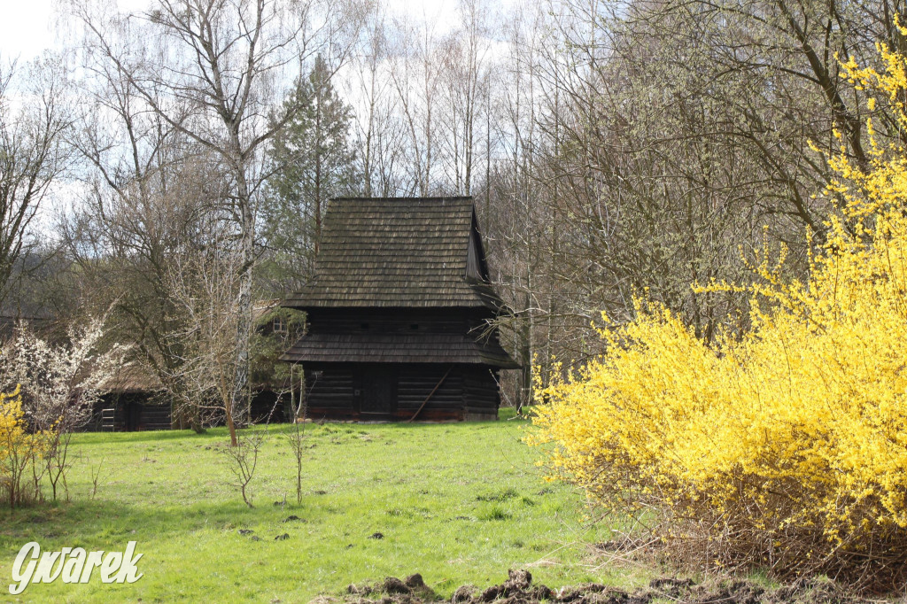 Wielkanoc w śląskim skansenie, procesja z palmami [GALERIA]