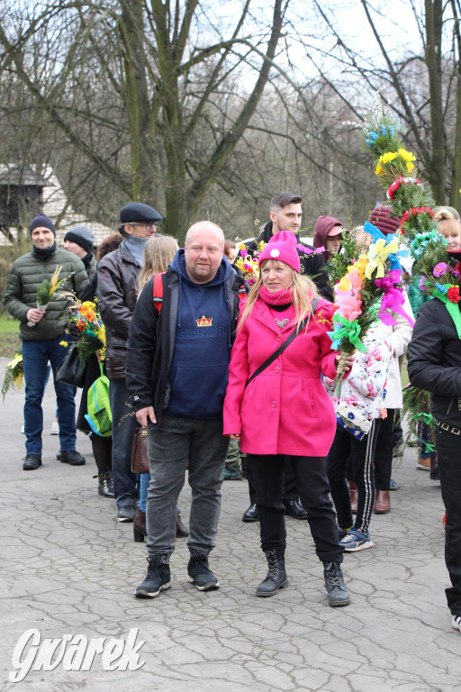 Wielkanoc w śląskim skansenie, procesja z palmami [GALERIA]